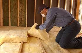 Best Commercial Insulation Services  in Edinburg, VA